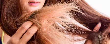 CABELLO SECO, FRIZZ Y PUNTAS ABIERTAS: Cómo solucionarlo naturalmente con aceite de Babasú