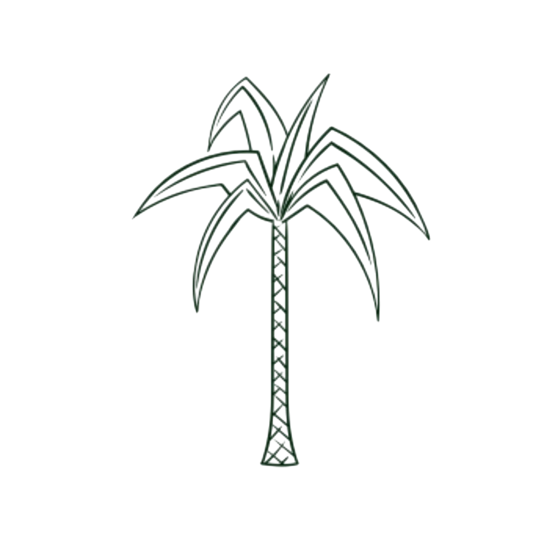 logobabapalmera-Photoroom.webp